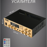 Musictone MT210 - Система громкоговорящей связи
