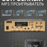 Musictone MT210 - Система громкоговорящей связи