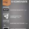 Musictone MT310 - Система громкоговорящей связи 