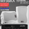 MusicTone MT22 - Акустика для кафе, комплект для фоновой музыки